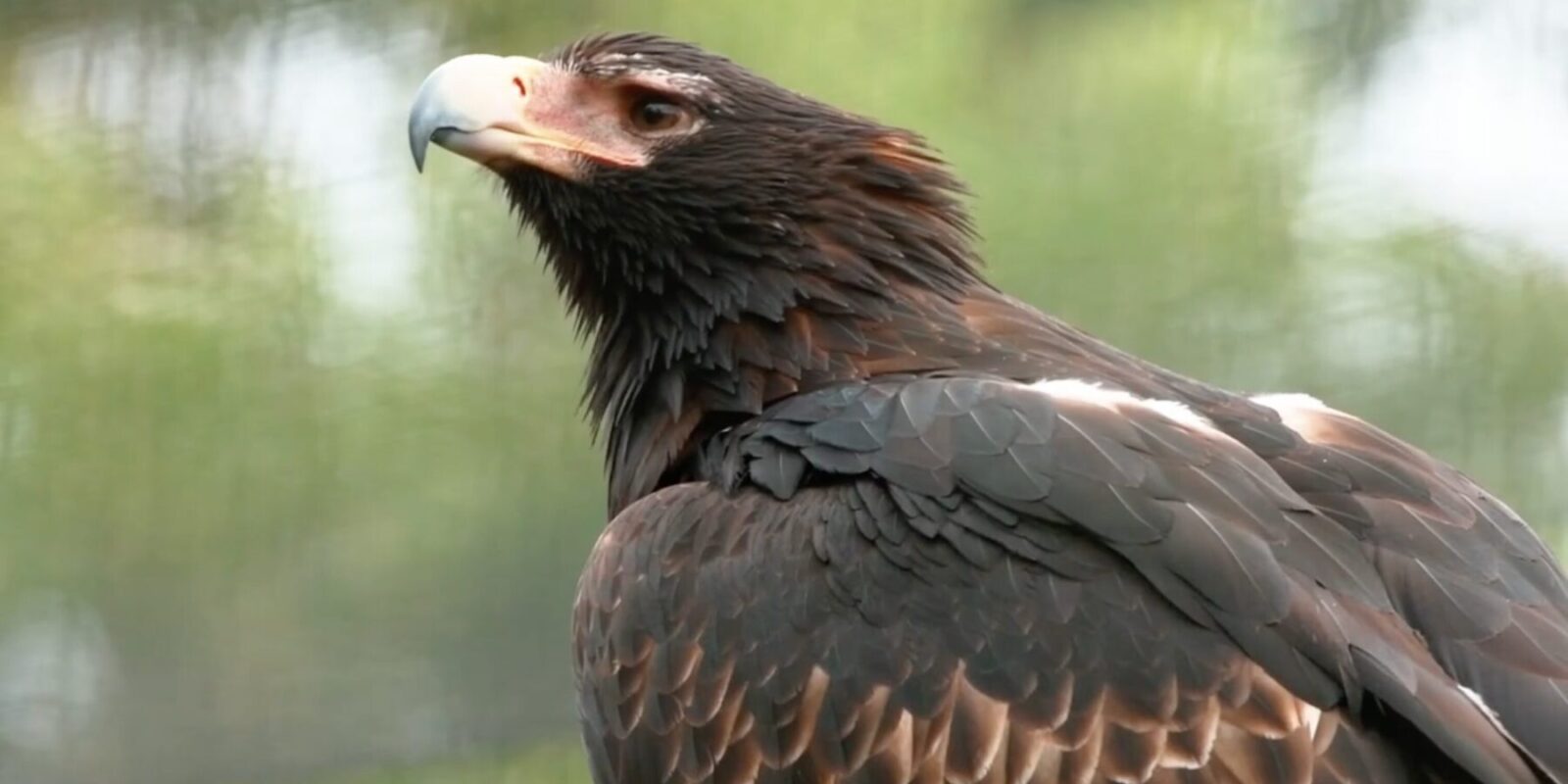 Screenshot 2025-10-09 at 1.31.10 PM Screenshot 2025-10-09 at 1.31.10 PM